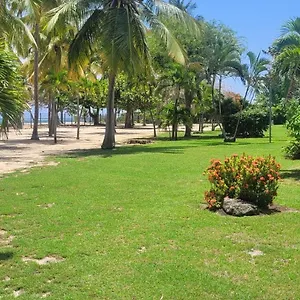 https://studio-la-verdure.comcaribbean.com